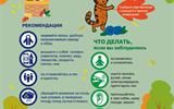 listovki_16 Лес_16